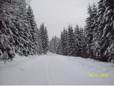 Brnkopf